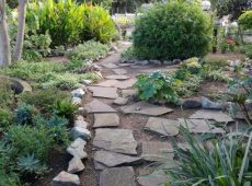 Magical garden pathways at The Vales